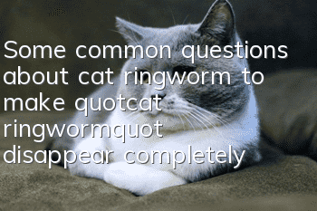 Some common questions about cat ringworm to make "cat ringworm" disappear completely!