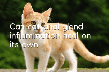 Can cat anal gland inflammation heal on its own?