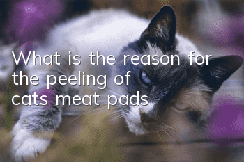 What is the reason for the peeling of cat's meat pads?