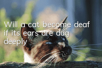 Will a cat become deaf if its ears are dug deeply?