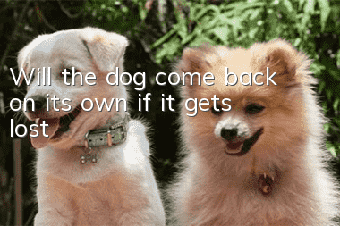 Will the dog come back on its own if it gets lost?