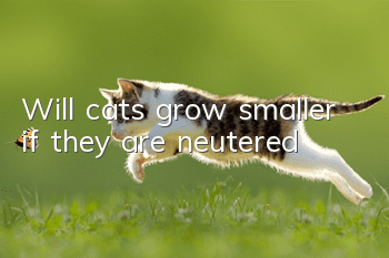 Will cats grow smaller if they are neutered?