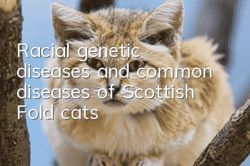 Racial genetic diseases and common diseases of Scottish Fold cats