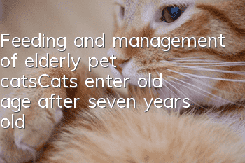 Feeding and management of elderly pet cats_Cats enter old age after seven years old