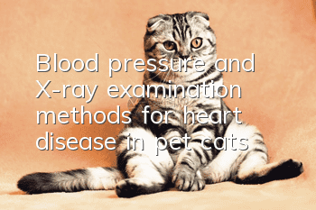 Blood pressure and X-ray examination methods for heart disease in pet cats
