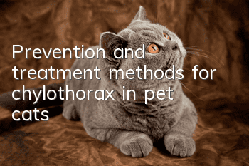 Prevention and treatment methods for chylothorax in pet cats