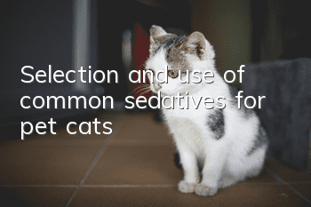 Selection and use of common sedatives for pet cats