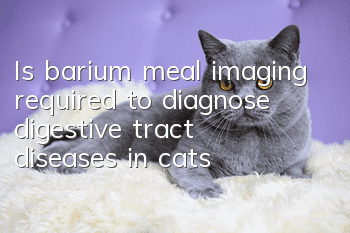 Is barium meal imaging required to diagnose digestive tract diseases in cats?