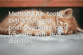 Methods for tooth extraction and post-operative care for cats with oral diseases