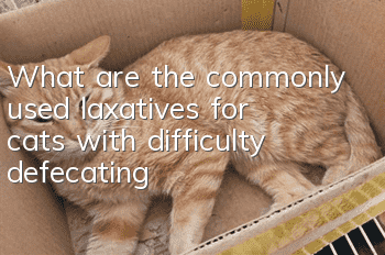 What are the commonly used laxatives for cats with difficulty defecating?