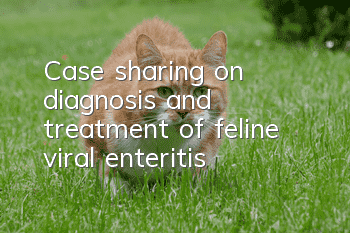 Case sharing on diagnosis and treatment of feline viral enteritis
