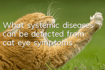 What systemic diseases can be detected from cat eye symptoms?