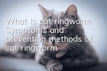 What is cat ringworm? Symptoms and prevention methods of cat ringworm