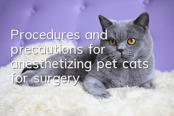 Procedures and precautions for anesthetizing pet cats for surgery