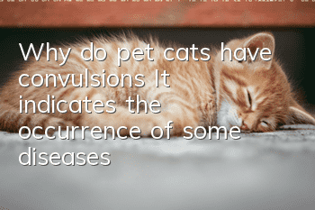 Why do pet cats have convulsions? It indicates the occurrence of some diseases