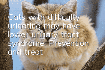 Cats with difficulty urinating may have lower urinary tract syndrome. Prevention and treatment methods
