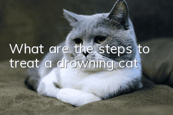 What are the steps to treat a drowning cat?
