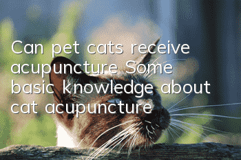 Can pet cats receive acupuncture? Some basic knowledge about cat acupuncture
