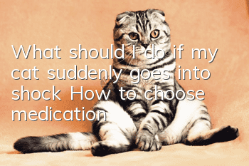 What should I do if my cat suddenly goes into shock? How to choose medication