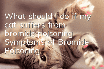 What should I do if my cat suffers from bromide poisoning? Symptoms of Bromide Poisoning