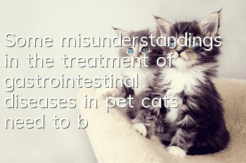 Some misunderstandings in the treatment of gastrointestinal diseases in pet cats need to be avoided