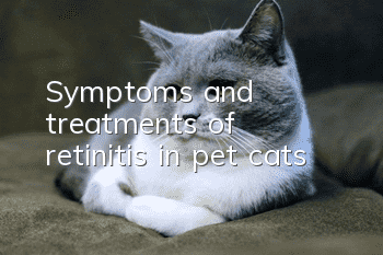Symptoms and treatments of retinitis in pet cats