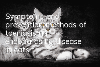 Symptoms and prevention methods of taeniasis, an endoparasitic disease in cats