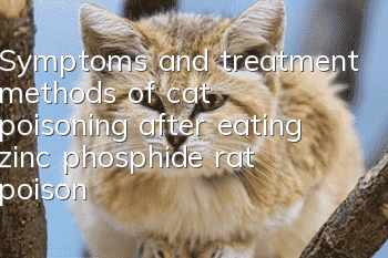 Symptoms and treatment methods of cat poisoning after eating zinc phosphide rat poison