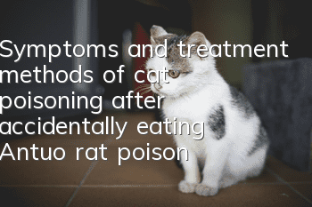 Symptoms and treatment methods of cat poisoning after accidentally eating Antuo rat poison