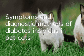 Symptoms and diagnostic methods of diabetes insipidus in pet cats