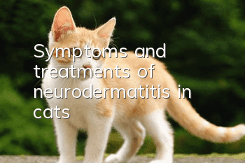Symptoms and treatments of neurodermatitis in cats