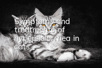 Symptoms and treatments of hypersialorrhea in cats