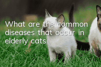 What are the common diseases that occur in elderly cats?