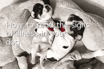 How to read the signs of illness in your dog?