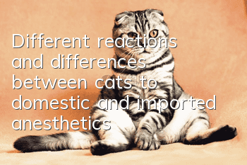 Different reactions and differences between cats to domestic and imported anesthetics