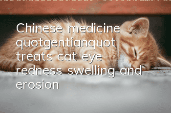 Chinese medicine "gentian" treats cat eye redness, swelling and erosion