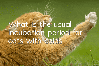 What is the usual incubation period for cats with colds?