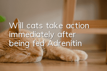 Will cats take action immediately after being fed Adrenitin?