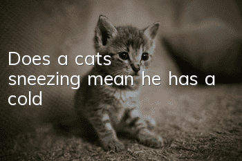 Does a cat's sneezing mean he has a cold?