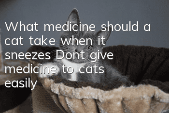 What medicine should a cat take when it sneezes? Don’t give medicine to cats easily