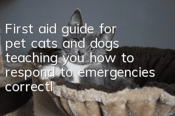 First aid guide for pet cats and dogs, teaching you how to respond to emergencies correctly!