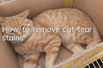 How to remove cat tear stains?