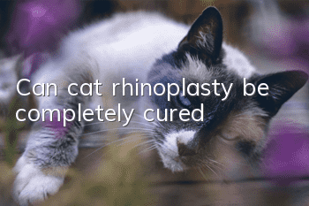 Can cat rhinoplasty be completely cured?