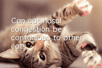 Can cat nasal congestion be contagious to other cats?