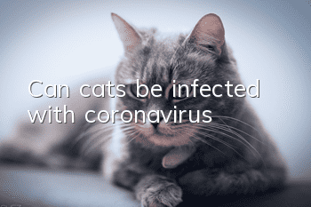 Can cats be infected with coronavirus?