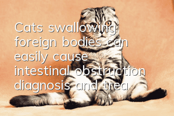 Cats swallowing foreign bodies can easily cause intestinal obstruction (diagnosis and treatment of intestinal obstruction in cats)