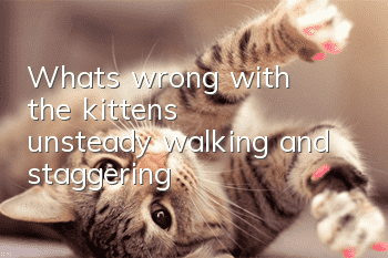 What's wrong with the kitten's unsteady walking and staggering?