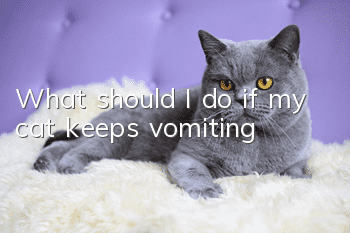 What should I do if my cat keeps vomiting?
