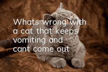 What's wrong with a cat that keeps vomiting and can't come out?