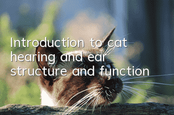 Introduction to cat hearing and ear structure and function